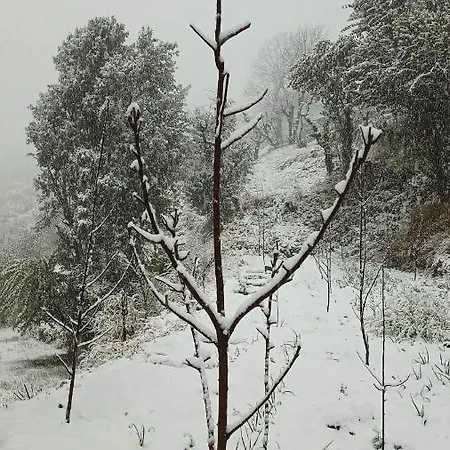 The City Escape Farmstay Shimla Exterior photo